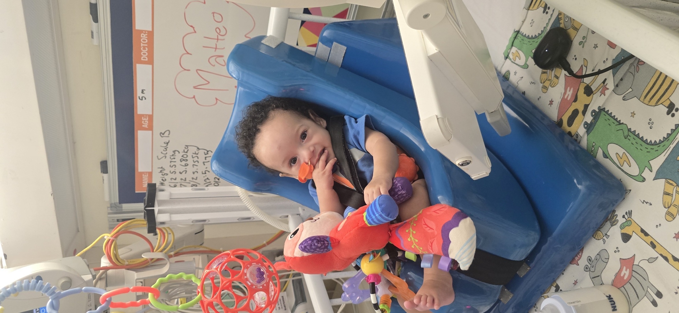 Bouncer time! With the red fox and his name on the whiteboard. Ward life.