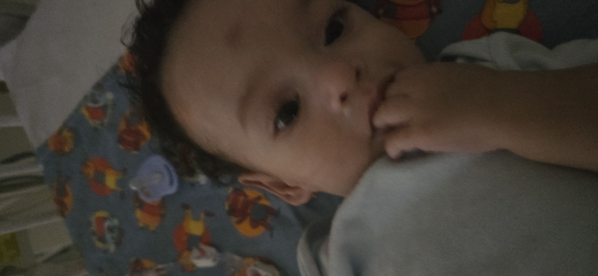 Quiet moment in the evening light. Winnie the Pooh keeping him company.