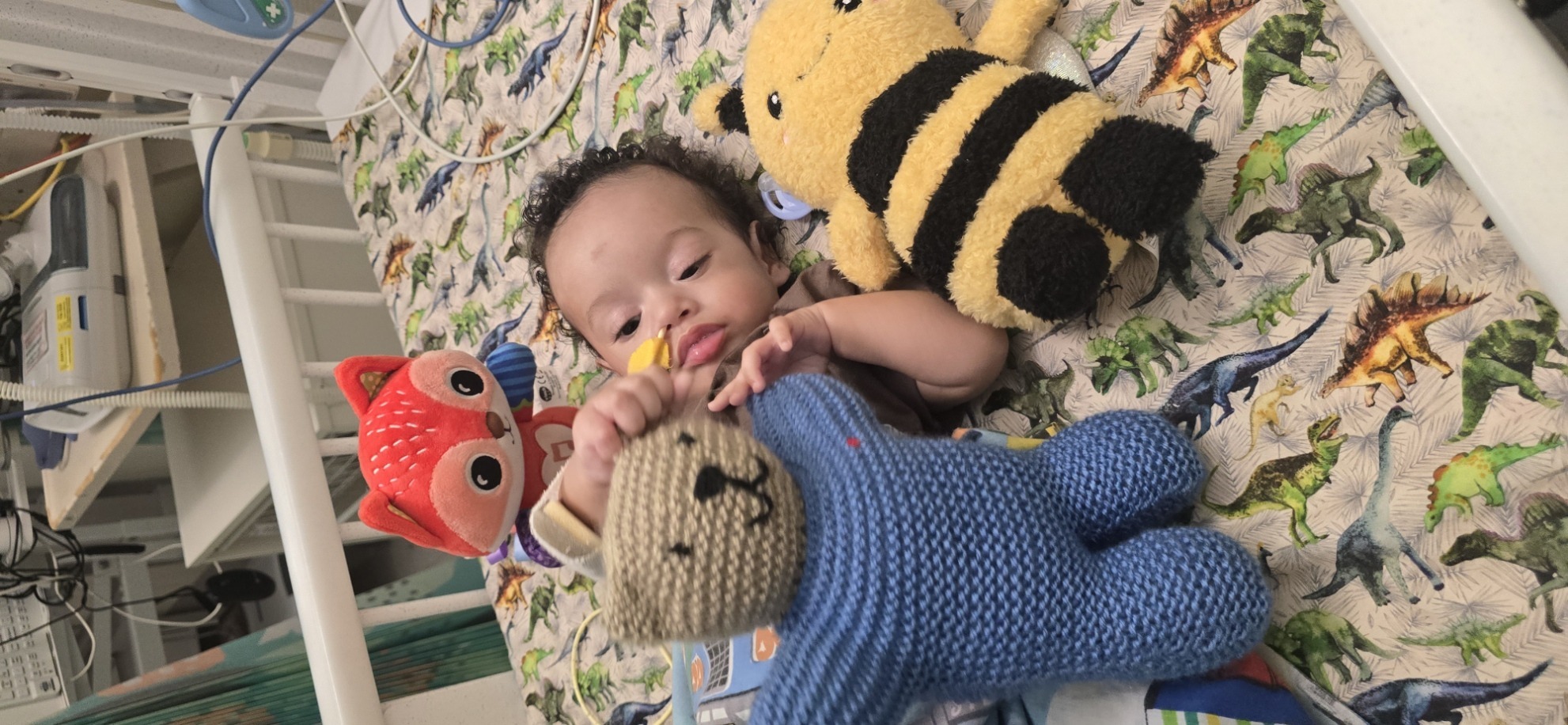 The whole crew — knitted blue bear, red fox, and bumble bee on his dinosaur sheets.